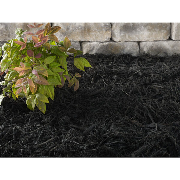 Black color-enhanced (dyed) mulch - Image 2