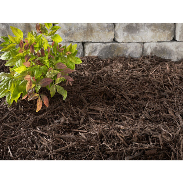 Brown color-enhanced (dyed) mulch - Image 2